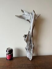 Driftwood piece. silver for sale  ROCHDALE