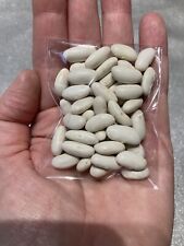 Cannellini beans grow for sale  SPALDING