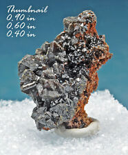 Descloizite mottramite mineral for sale  Sandy