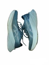 ASICS Novablast 3 Men’s Size 11 Pine Mist  Running Shoes Sneakers for sale  Shipping to South Africa