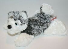Aurora husky puppy for sale  Alpharetta