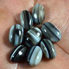 66.90 Cts 100% Natural Sulemani Hakik Agate Oval Cab.Gemstone 8 Piece DD01-62 for sale  Shipping to Canada