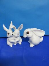 Pair white rabbits for sale  SWINDON