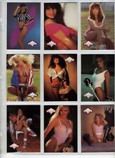 Bench warmer 1992 for sale  Canada