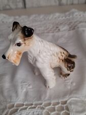 Fox terrier for sale  ABERTILLERY