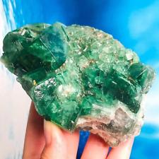 584G Raro Natural Fluorita Cuarzo Racimo Cristal Mineral Espécimen Curación segunda mano  Embacar hacia Argentina