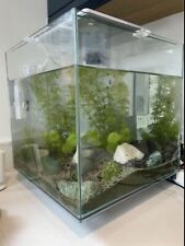 Superfish qubiq aquarium for sale  ST. ALBANS