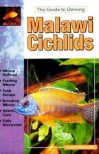 Malawi cichlids keeping for sale  Aurora