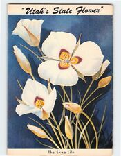Postcard sego lily for sale  Stevens Point