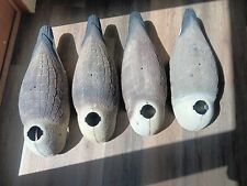 Goose decoy shells for sale  La Veta