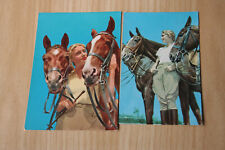 2 horses postcards horse postcard cheval CPA cavallo pair AK for sale  Shipping to South Africa