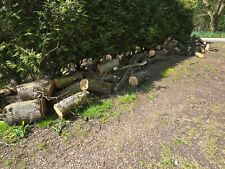 Tonnes hawthorn logs for sale  BEVERLEY