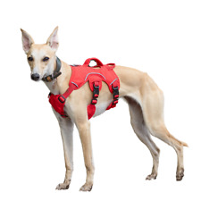 Arnês Whippet/Arnês Greyhound - Arnês à prova de fuga de 3 pontos Sighthound comprar usado  Enviando para Brazil