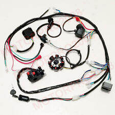Buggy wiring harness for sale  Walton