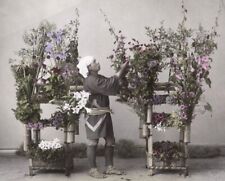 1880s japanese flower for sale  Manchester Township