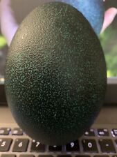 Blown emu egg for sale  Fremont