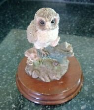 Leonardo barn owl for sale  Shipping to Ireland