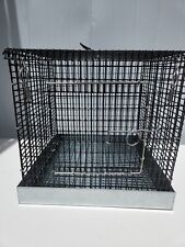 Special Price Big Mixed Sugar Glider 3 Cage Set Forest Pattern Kullachy.shop 