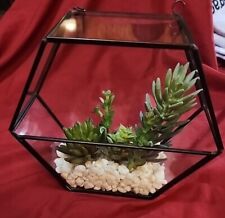 Succulent terrarium geometric for sale  Lufkin