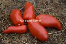 Tomatensamen andenhorn andine gebraucht kaufen  Rostock