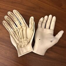 Vintage anatomical hand for sale  Mount Tabor