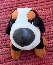 Beagle dog doggy for sale  CANTERBURY