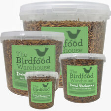 Norfolk Feeds Dried Mealworms - Premium Quality Wild Bird Food - Treat Tub, Worm for sale  FAKENHAM