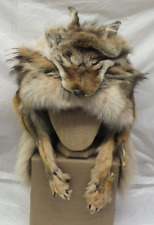 Coyote mountain man for sale  Glendive