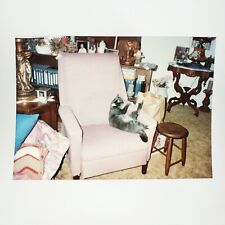 Usado, Poltrona rosa foto gatinho gato década de 1990 vintage sala de estar fitas VHS instantâneas A2817 comprar usado  Enviando para Brazil