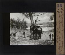 Cambodge.Cambodia.Transport d'une pièce Canon dos d'éléphant.Lantern Magic slide segunda mano  Embacar hacia Argentina