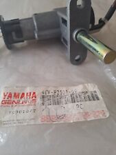 Yamaha 4cw h2501 usato  Pescara