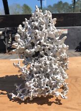 Escultura de fundição de arte de formigueiro formiga de fogo fundição de alumínio Geórgia do Sul 11” X 8” comprar usado  Enviando para Brazil