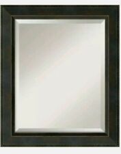 Signore 21 pol. L x 25 pol. Espelho de vaidade retangular para banheiro com moldura H em bronze comprar usado  Enviando para Brazil