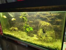 Aquarium 200 gebraucht kaufen  Darmstadt-Mitte