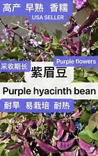 15ct purple hyacinth for sale  Monterey Park