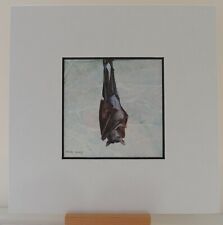 Bat flying fox for sale  WALSALL