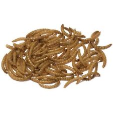 Bucktons dried mealworms for sale  WOLVERHAMPTON