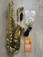 alto saxophone for sale  HASSOCKS
