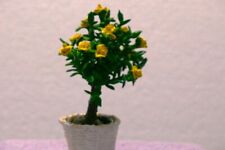 Miniature rose tree for sale  Alton