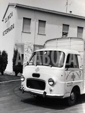 Foto Vintage Animali Clinica Veterinaria San Francesco Piacenza stampa 27x22 cm segunda mano  Embacar hacia Argentina