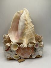Cornish shell folk for sale  WHITLEY BAY