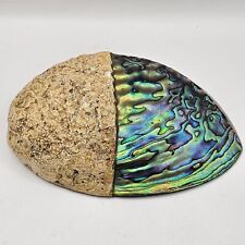 Paua Shell Half Polished Shell Art 16cm Length(C3) NS#8824 for sale  Shipping to South Africa