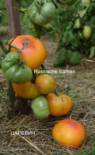 Russische tomatensamen zarewit gebraucht kaufen  Rostock