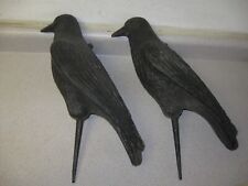 Flambeau plastic crow for sale  Winthrop