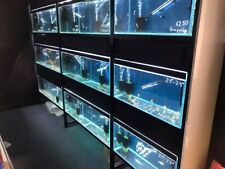 Aquariums metal stands for sale  WITHAM