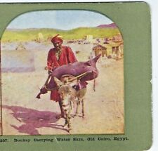 Donkey carrying water for sale  Spanish Fork