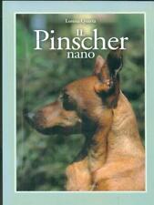 Pinscher nano. animali usato  Italia