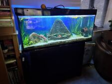 4ft fish tank for sale  WAREHAM