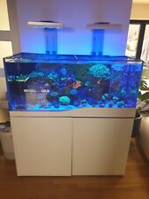 curved fish tank for sale  NOTTINGHAM