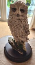 Snowy owl country for sale  ASHFORD